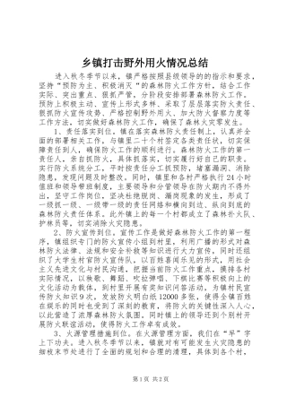 乡镇打击野外用火情况总结