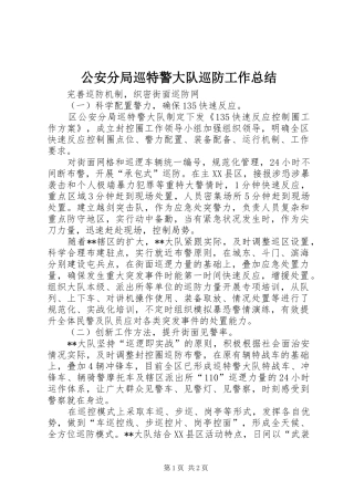 公安分局巡特警大队巡防工作总结