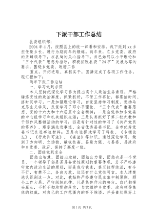 下派干部工作总结 (10)
