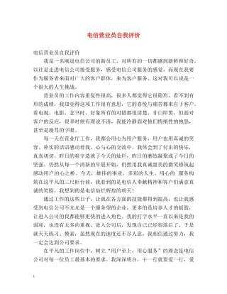 电信营业员自我评价 (2) 
