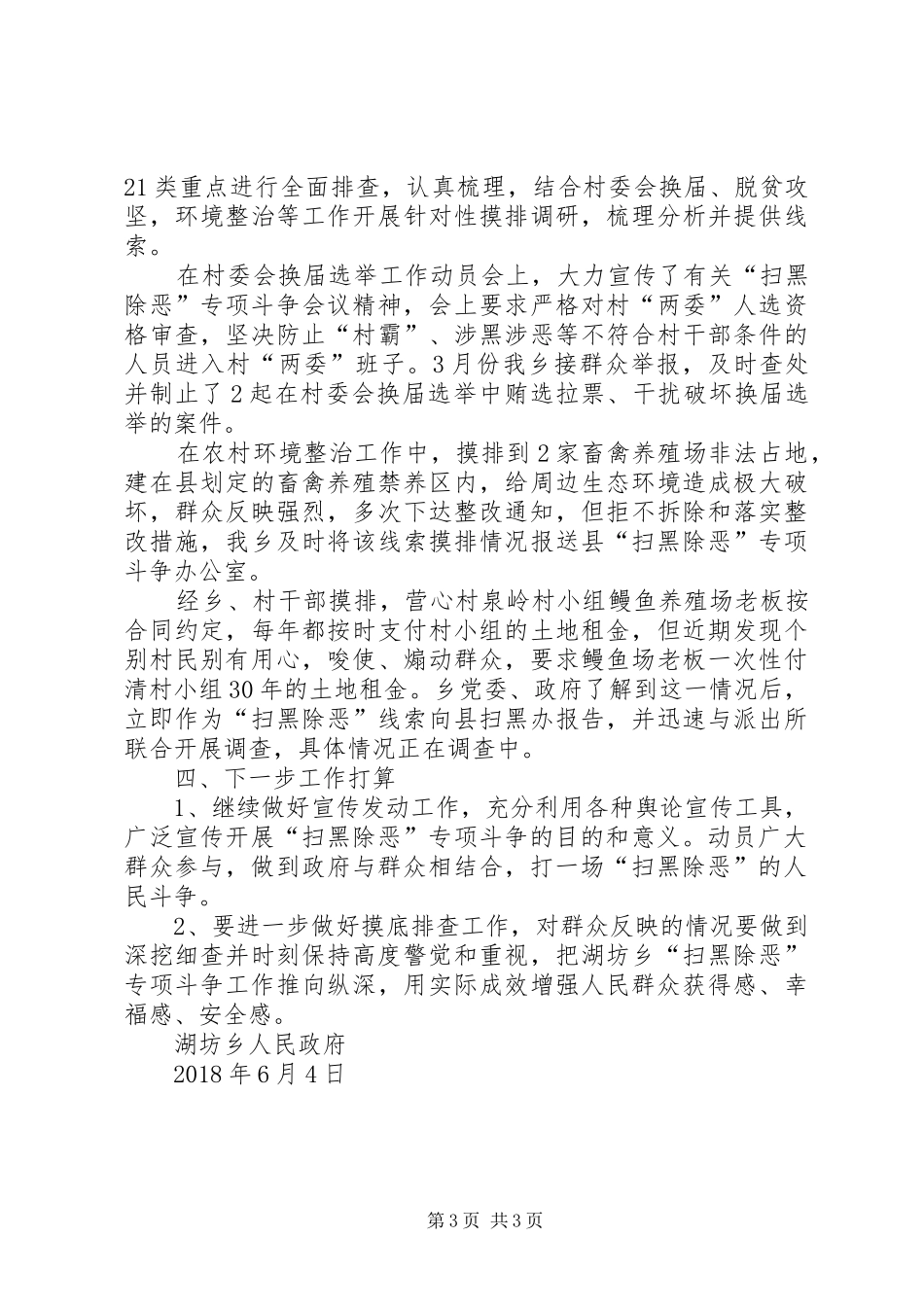 乡镇扫黑除恶专项斗争XX年工作总结_第3页