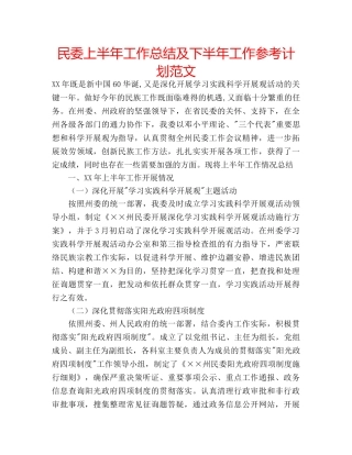 民委上半年工作总结及下半年工作参考计划范文 