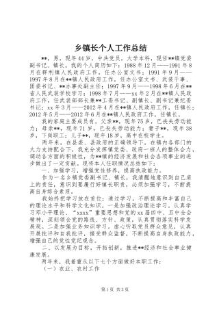 乡镇长个人工作总结