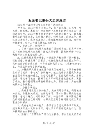 五级书记带头大走访总结