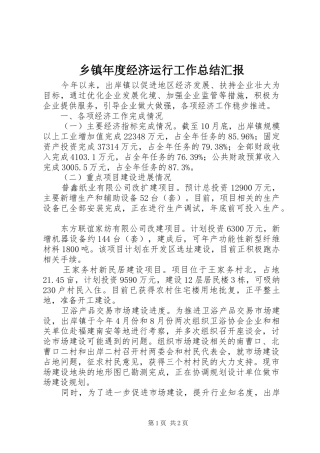 乡镇年度经济运行工作总结汇报