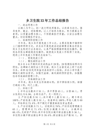 乡卫生院XX年工作总结报告