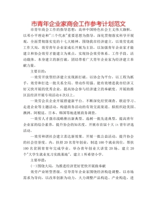 市青年企业家商会工作参考计划范文 