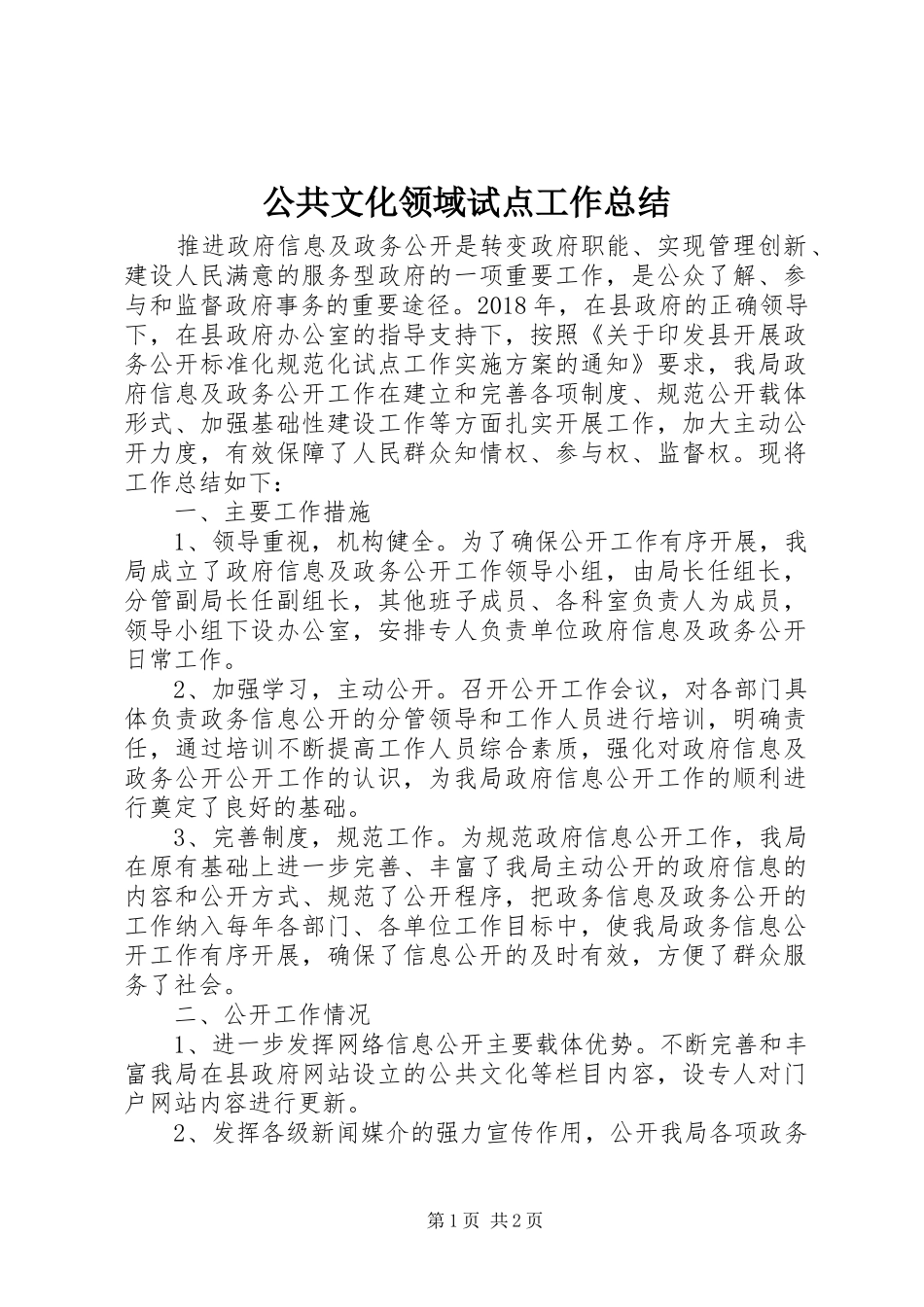 公共文化领域试点工作总结_第1页