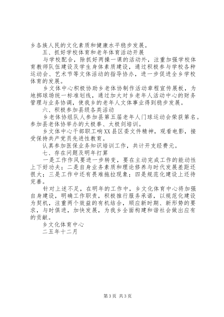 乡文化体育工作总结_第3页