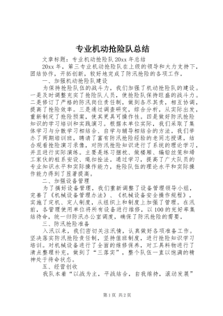 专业机动抢险队总结