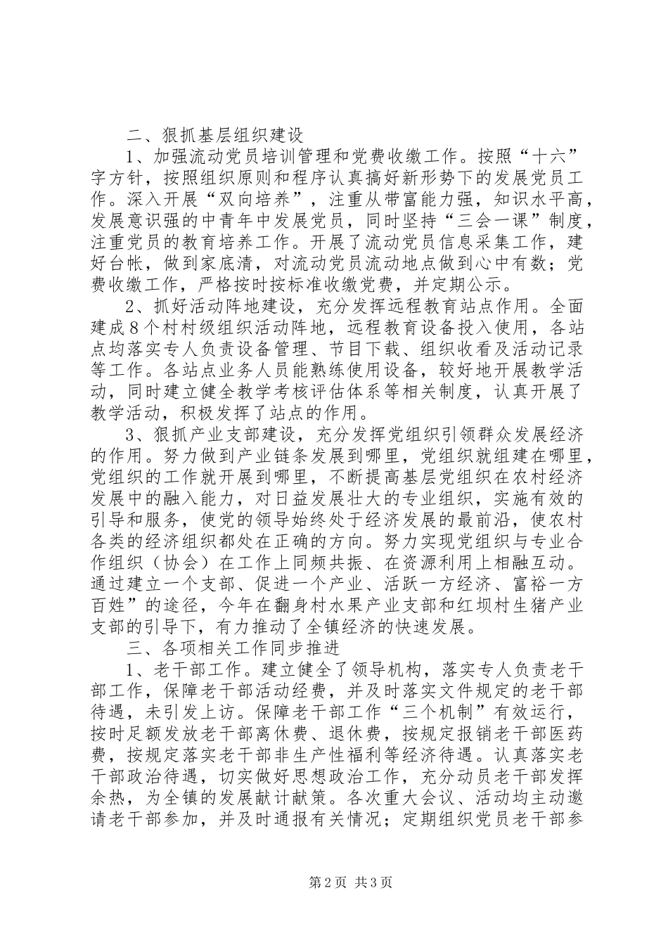 乡镇党委年度组织工作总结_第2页