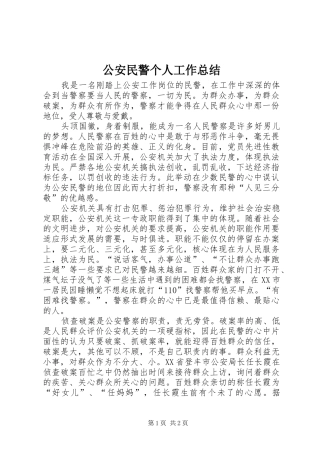 公安民警个人工作总结