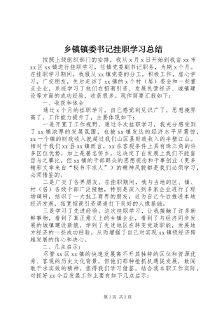 乡镇镇委书记挂职学习总结