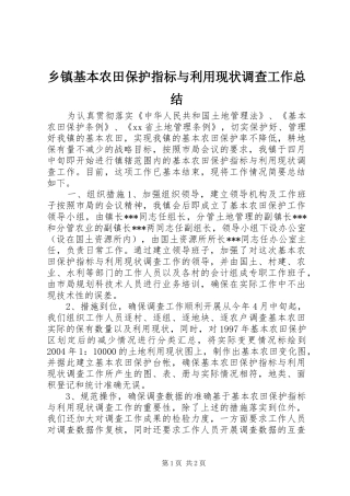 乡镇基本农田保护指标与利用现状调查工作总结