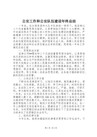 公安工作和公安队伍建设年终总结