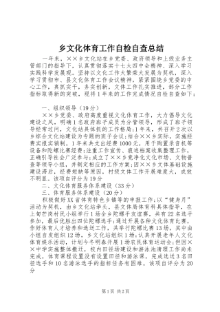 乡文化体育工作自检自查总结