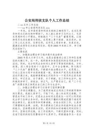 公安局刑侦支队个人工作总结