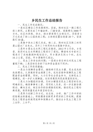乡民生工作总结报告