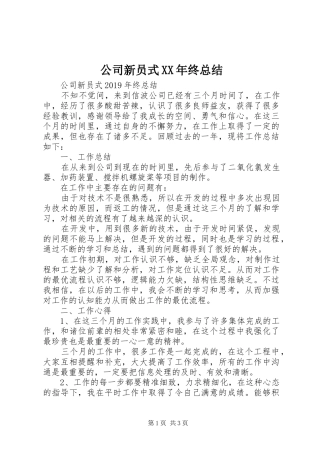 公司新员式XX年终总结