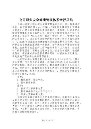 公司职业安全健康管理体系运行总结