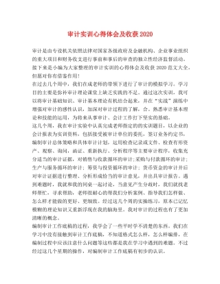 审计实训心得体会及收获2020 