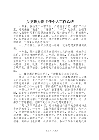 乡党政办副主任个人工作总结