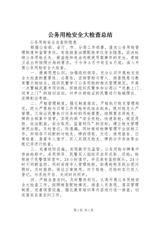 公务用枪安全大检查总结