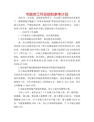 市政府工作总结和参考计划 