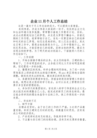 企业11月个人工作总结