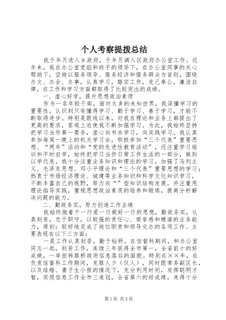个人考察提拨总结