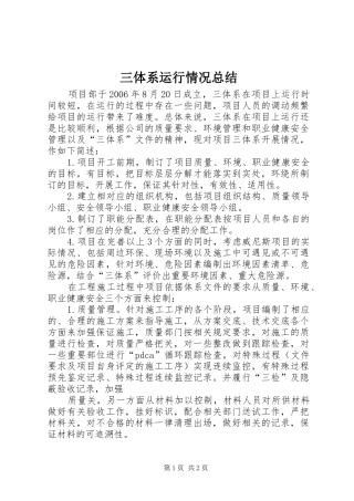 三体系运行情况总结