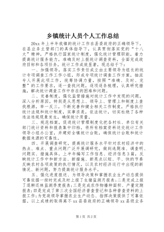 乡镇统计人员个人工作总结