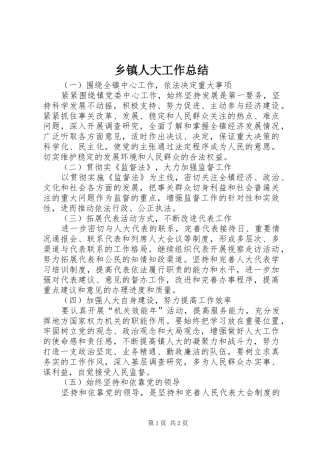 乡镇人大工作总结 (11)
