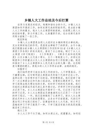 乡镇人大工作总结及今后打算