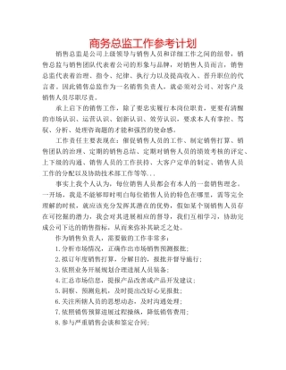 商务总监工作参考计划 