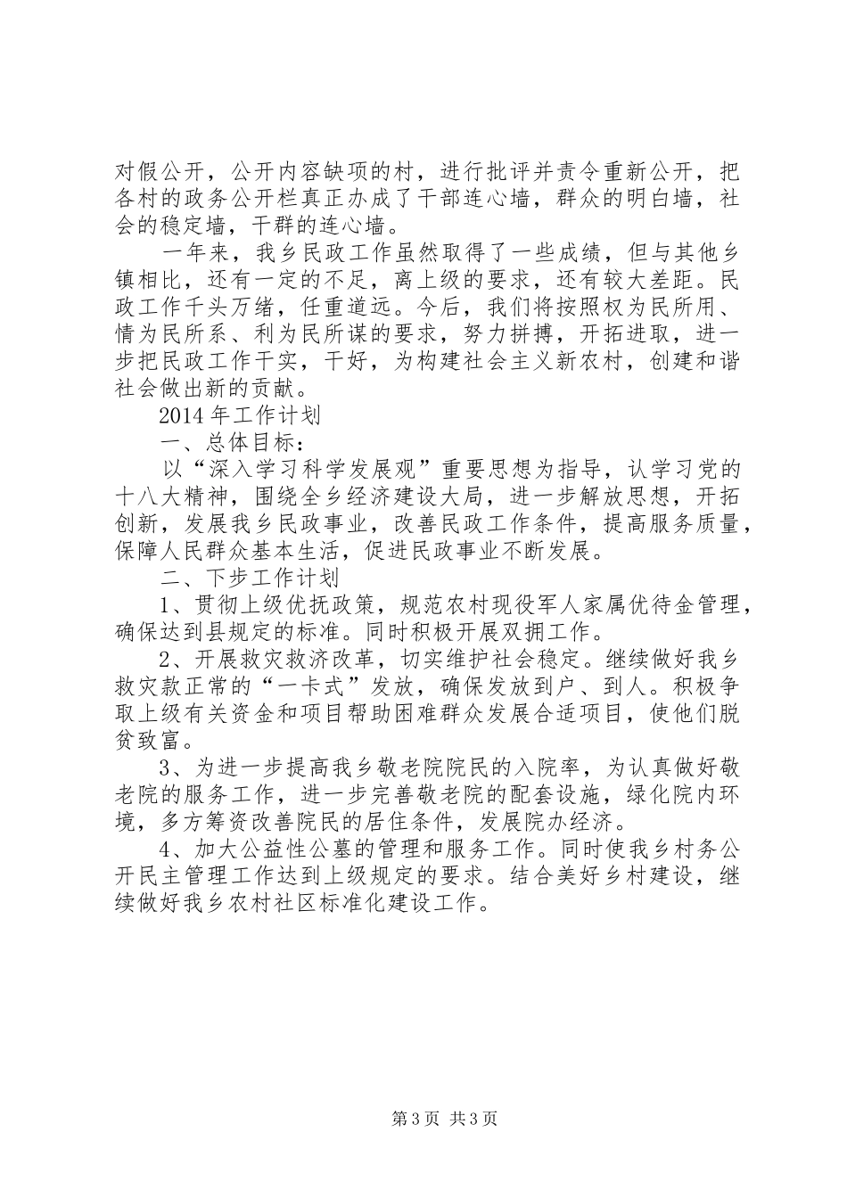 乡镇民政工作总结 (17)_第3页