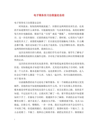 电子商务实习自我鉴定总结 