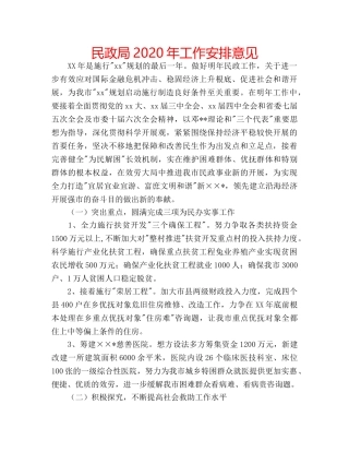 民政局2020年工作安排意见 