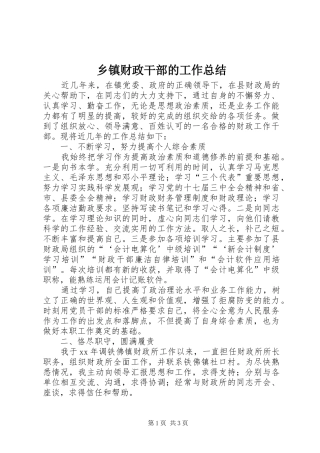 乡镇财政干部的工作总结