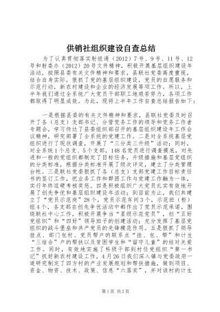 供销社组织建设自查总结