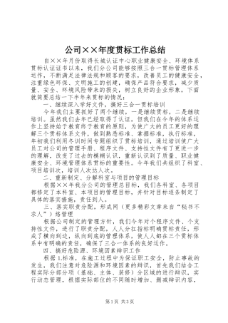 公司××年度贯标工作总结