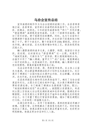 乌洽会宣传总结