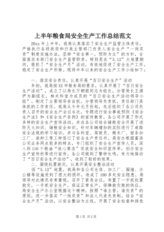 上半年粮食局安全生产工作总结范文