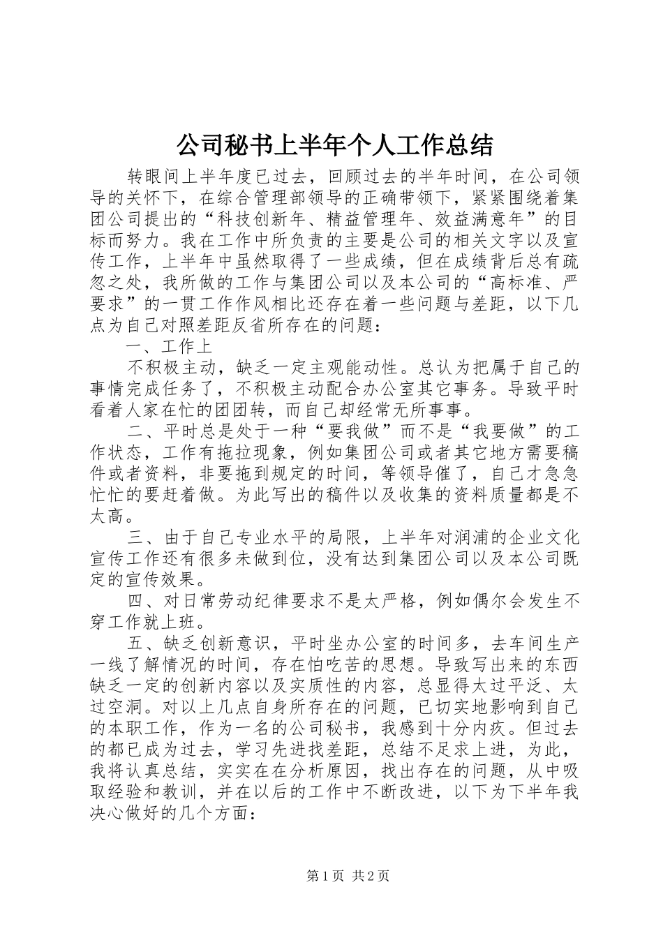 公司秘书上半年个人工作总结_第1页