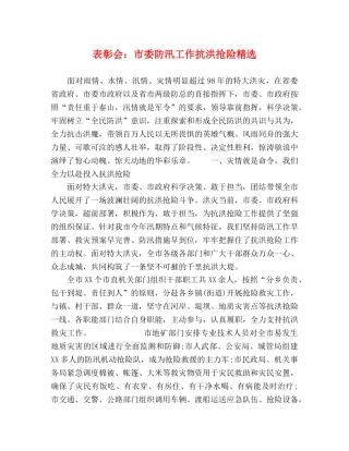 表彰会市委防汛工作抗洪抢险精选 