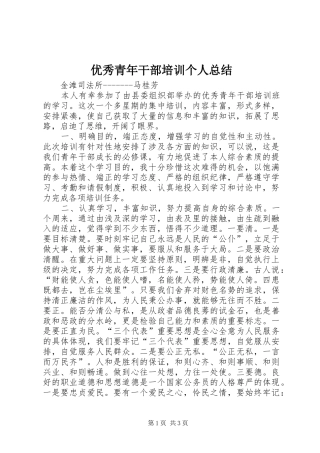 优秀青年干部培训个人总结