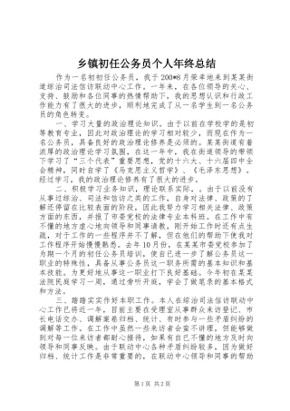 乡镇初任公务员个人年终总结