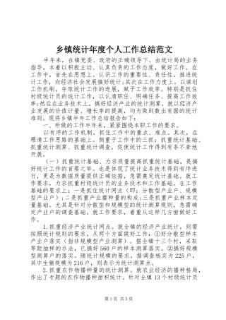 乡镇统计年度个人工作总结范文