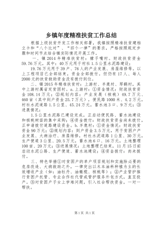 乡镇年度精准扶贫工作总结