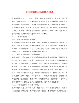党支部剖析材料及整改措施 